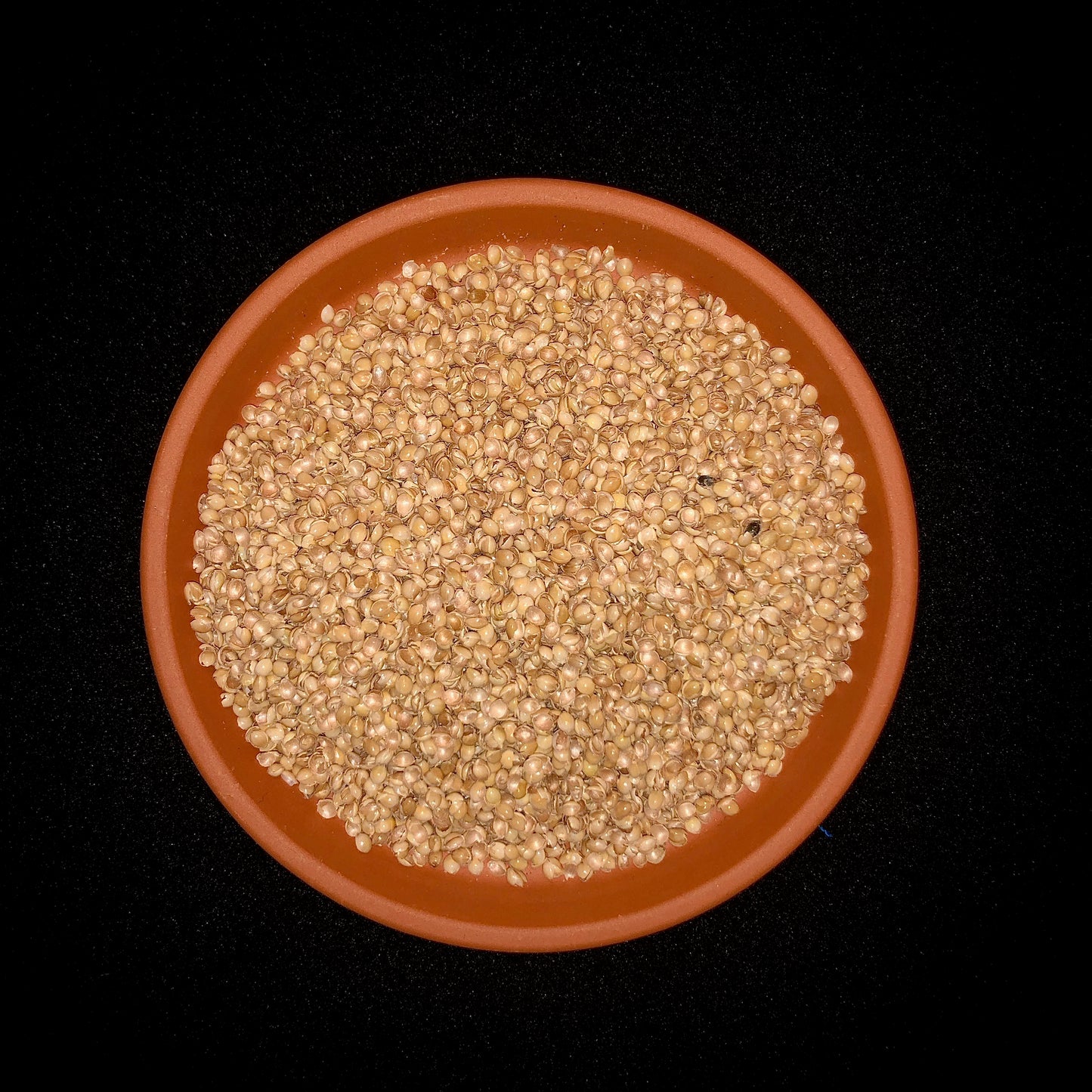 "Buchhalter" - Einzelstück Schrift auf Grau