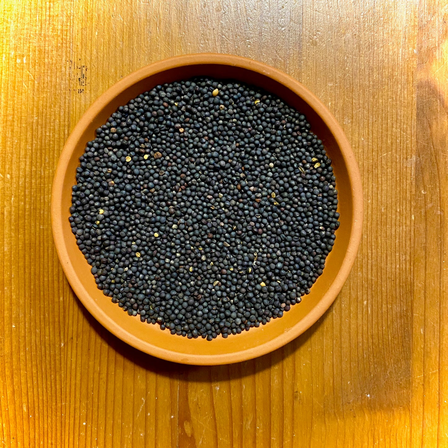 "Hörnchen Horst" - Set mit Bezug Waldtierfreunde grün