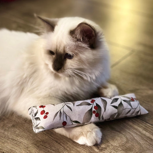 "Katzenkissla"