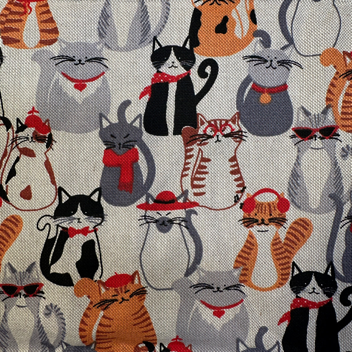 "Katzenkissla"