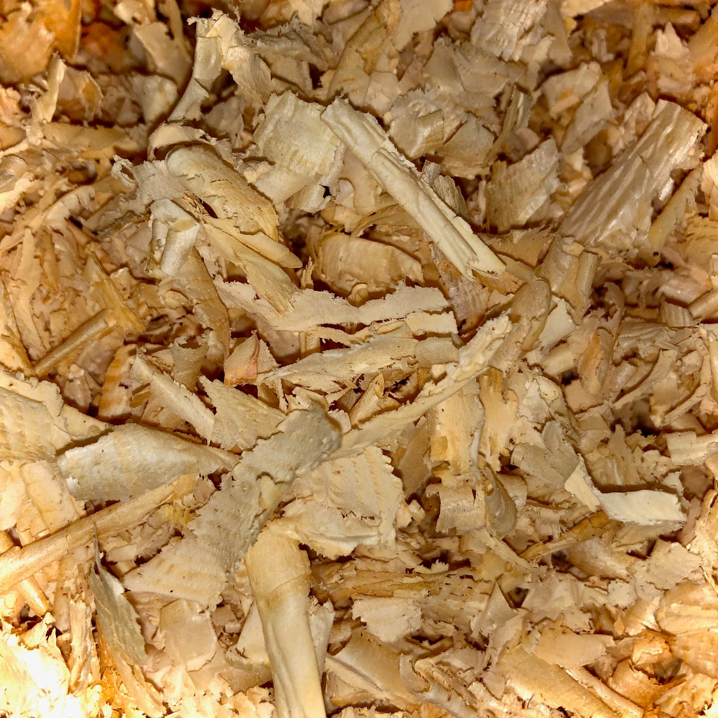 "Zirbe pur" - Zirbenkissen Größe M