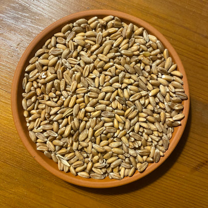 "Wärmender Willi" mit Dinkelkorn - Einzelstück Grafisch Petrol