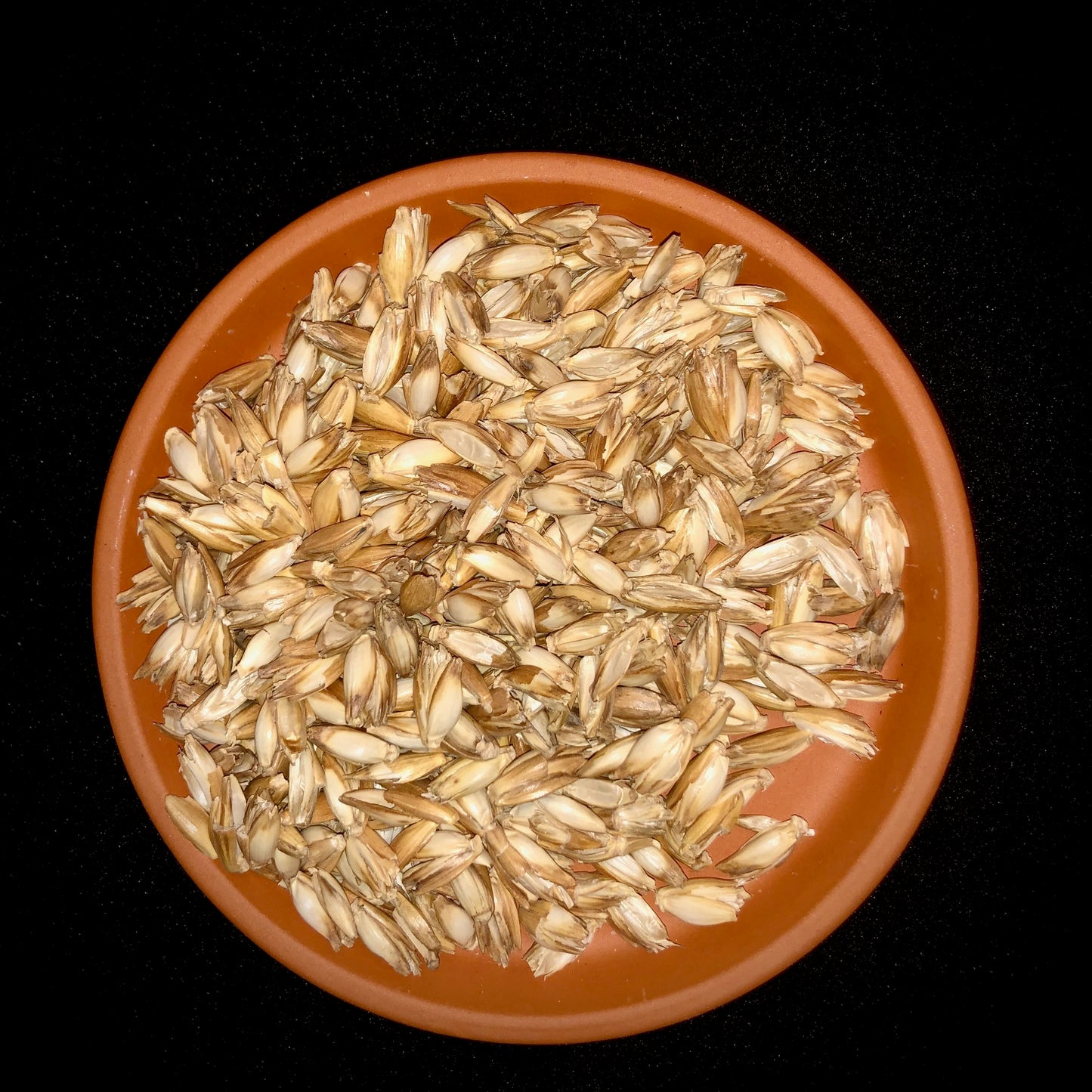 Bodenkissen - Lotusblume mit Königsblau