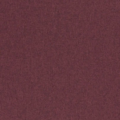 "Clara" in Softshell