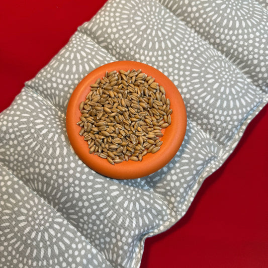 "Wärmender Willi" mit Dinkelkorn